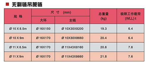 浙江雙鳥 吊蔗鏈技術(shù)參數(shù)