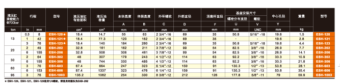 上海鷹普 ESH型單作用中空液壓缸技術(shù)參數(shù)